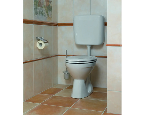 Badezimmer mit Toilette, Toilettenbürste und Toilettenpapierhalter