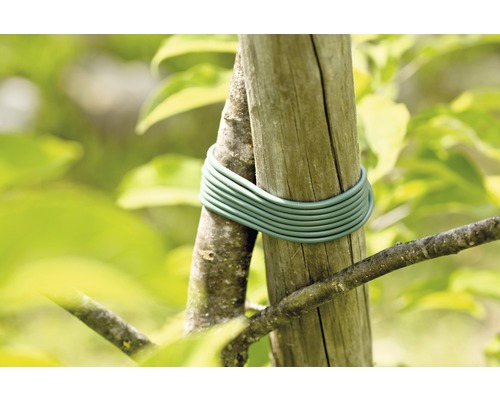 Baumfixierband zur Befestigung eines Baumes an einem Holzpfahl