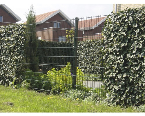 Drahtzaun mit Bewuchs als Gartenelement