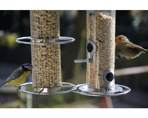 Zwei Vogelhäuschen mit Blaumeise und Rotkehlchen