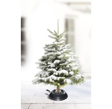 Schneebedeckter Weihnachtsbaum im Christbaumständer