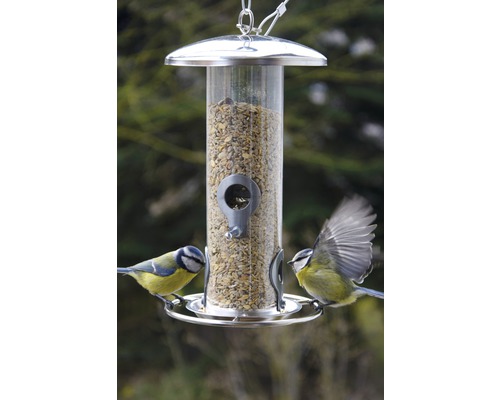 Vogelfutterspender mit zwei Blaumeisen