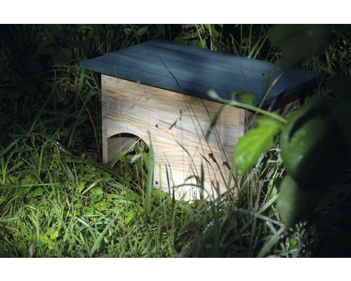 Fledermauskasten aus Holz im Gras