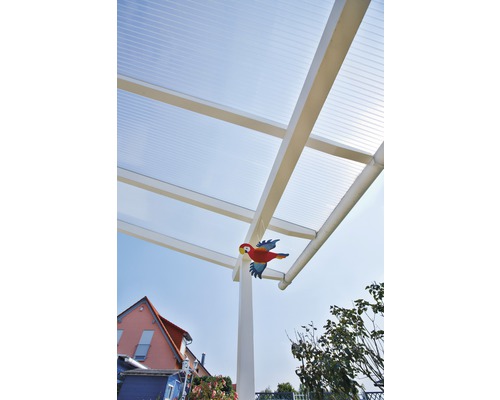 Terrassenüberdachung mit durchsichtigem Dach und einem dekorativen Papagei