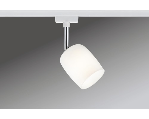 Schienenstrahler mit Glaslampenschirm