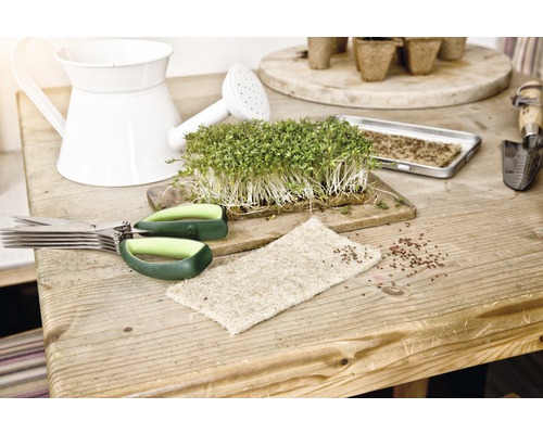 Anzuchtszene mit Kresse, Schere, Giesskanne und Aussaatschale auf einem Holztisch