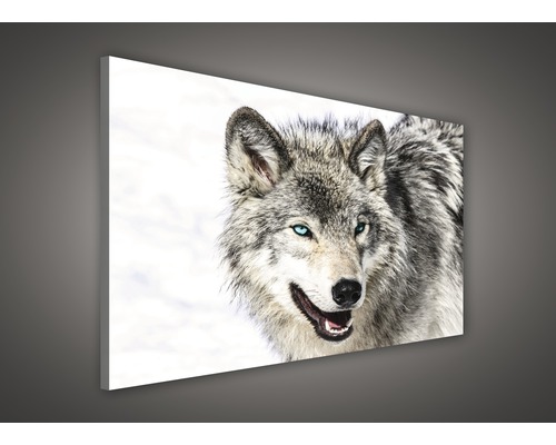 Leinwandbild mit Wolfsmotiv