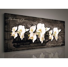 Leinwandbild Orchidee II 45x145 cm
