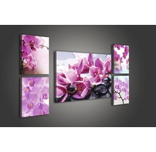 Fünfteiliges Wandbild mit Orchideenmotiven