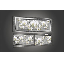 Leinwandbild Orchidee 3er-Set 80x55,8 cm