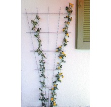 Zierspalier Lafiora Stahl 75x150 cm grün-thumb-1