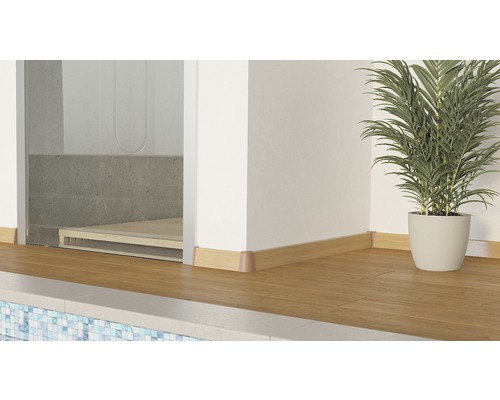 Badezimmer mit Holzfußleisten, Dusche und Zimmerpflanze