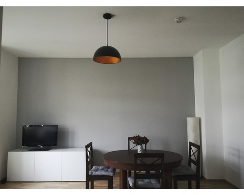 Wohnraum mit Esstisch und Hängelampe