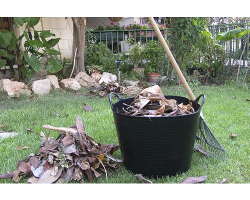 Garten mit Laubsammler, Blättern und Rechen