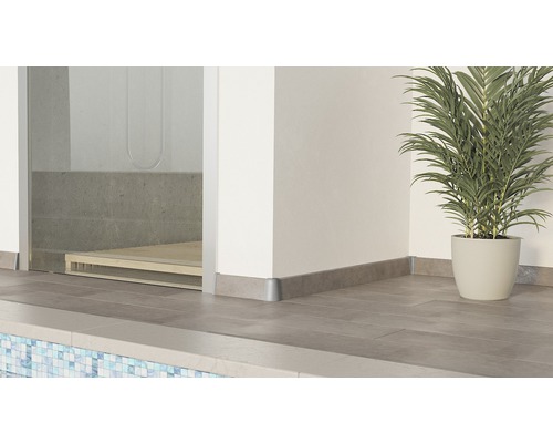 Badezimmer mit Sockelleisten, Fliesenboden, Dusche und Zimmerpflanze