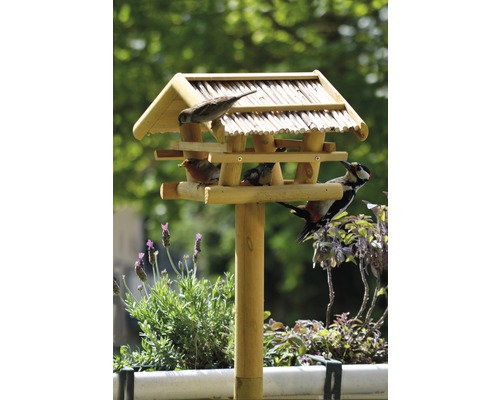 Vogelhaus mit verschiedenen Vögeln auf einem Ständer