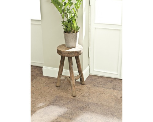 Dekorative Zimmerpflanze im Topf auf einem rustikalen Holzschemel auf Korkboden