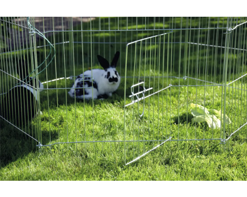 Kaninchen in einem Freilaufgehege auf einer Rasenfläche