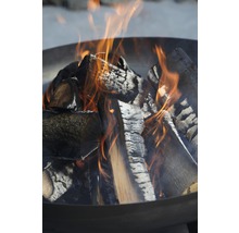 Buschbeck Feuerschale Ø 80 x H 30 cm Eisen eisengrau-thumb-5 Buschbeck Feuerschale Ø 80 x H 30 cm Eisen eisengrau-thumb-5