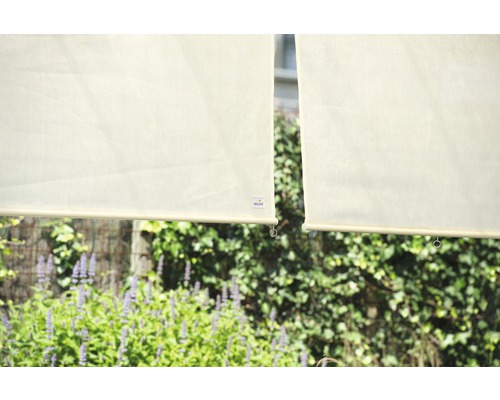 Zwei Rollos vor grünem Hintergrund