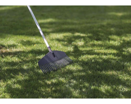 Laubbesen auf einer Rasenfläche