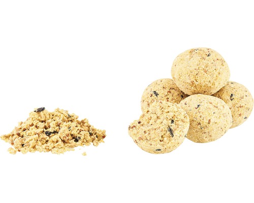 Futterknödel für Vögel und loses Vogelfutter