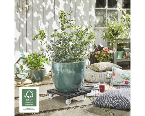 Blumenroller mit Pflanze im Außenbereich mit FSC-Siegel