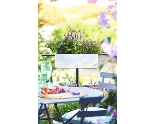 Balkonszene mit bepflanztem Blumenkasten, Tisch und Stühlen