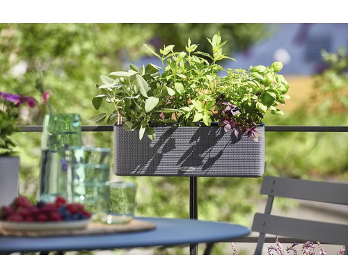 Balkonszene mit bepflanztem Blumenkasten auf einem Geländer