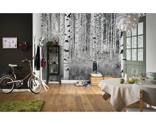 Wohnraum mit Birkenwaldtapete, Fahrrad und Esstisch.