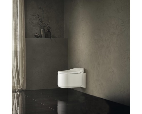 Modernes Badezimmer mit wandhängendem Dusch-WC und dunklem Boden