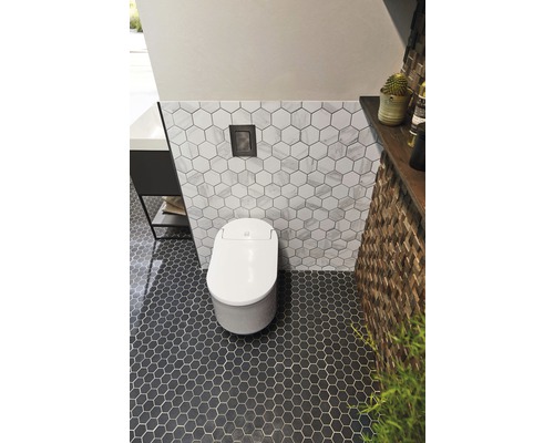 Modernes Badezimmer mit einem weißen WC, Sechseckfliesen an Wand und Boden sowie einem hölzernen Wandelement.