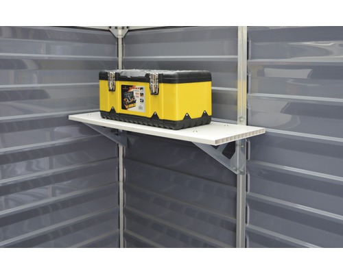 Werkzeugkiste auf Regal im Geräteschuppen