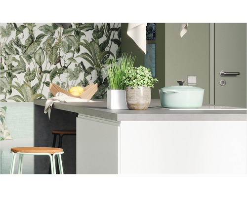 Küchenszene mit Küchentisch, Pflanzen und Kochtopf