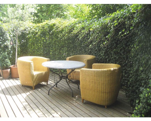 Terrasse mit Korbsesseln und Tisch für den Außenbereich
