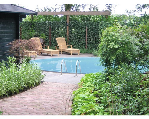 Gartenszene mit Pool, Liegestühlen und Begrünung