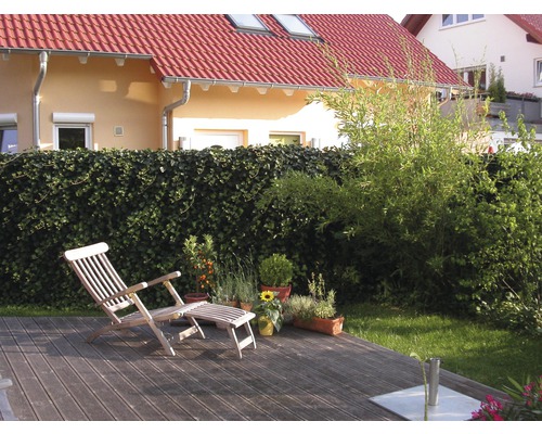 Holzterrasse mit Liegestuhl und Pflanzen im Garten