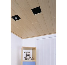 Holzpaneeldecke mit Beleuchtung und einer Requisite im Raum