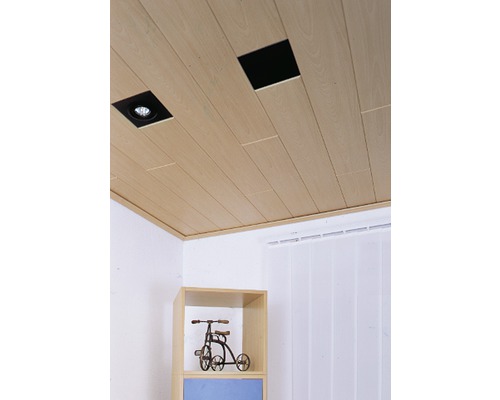 Holzpaneeldecke mit Beleuchtung und einer Requisite im Raum