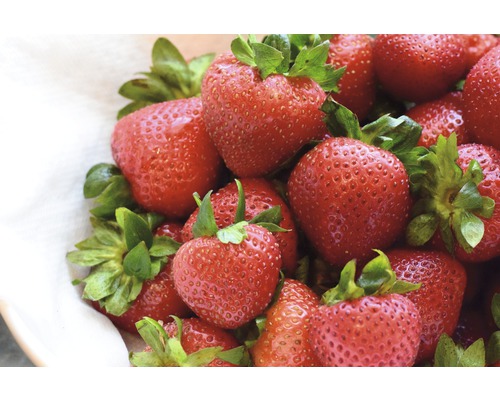 Nahaufnahme von frischen Erdbeeren