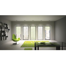 Wohnzimmer mit Rollos, Bücherregal, Sessel, Teppich und Tisch