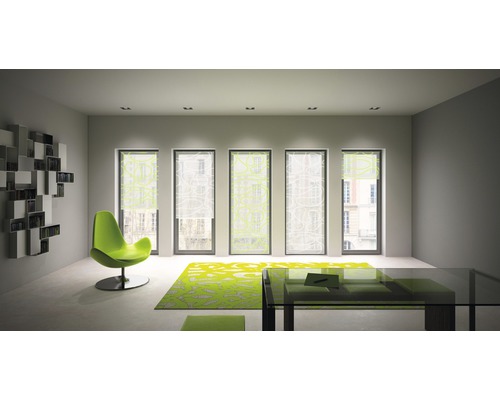 Wohnzimmer mit Rollos, Bücherregal, Sessel, Teppich und Tisch