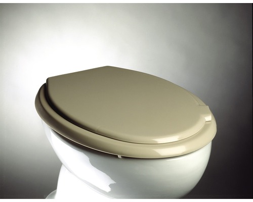 Toilettendeckel auf einer Toilette