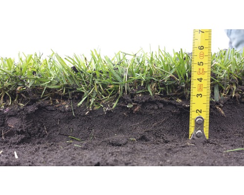 Nahaufnahme von Grassoden mit einem Maßband zur Messung der Dicke