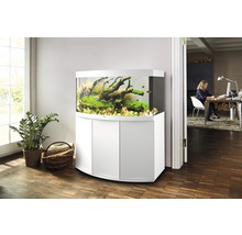 Aquarium mit Unterschrank im Wohnzimmer