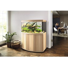 Eingerichtetes Aquarium mit Unterschrank im Wohnzimmer