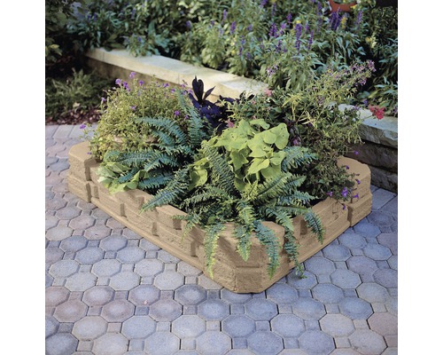 Beetbegrenzung aus Beton mit Pflanzen in einem Garten.