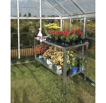 Gewächshaus mit silberfarbenem Metallregal und verschiedenen Blumen in Töpfen