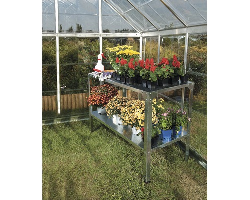 Standregal Palram – Canopia 114 x 50 x 80 cm silber Gewächshaus mit silberfarbenem Metallregal und verschiedenen Blumen in Töpfen