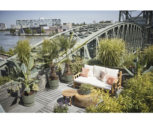 Terrasse mit Holzmöbeln und Pflanzen in Töpfen vor einer Brücke
